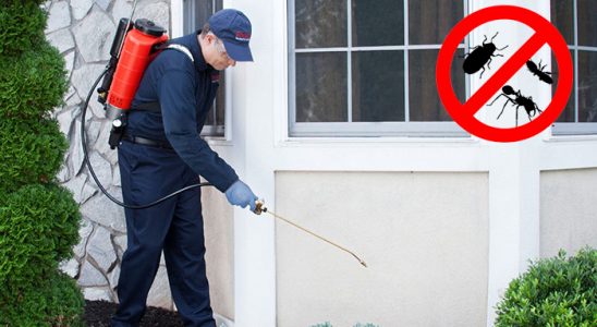 Çameli Gümüşkurt İlaçlama böcek ilaçlama ve haşere kontrolü — ilaclama-tr.com